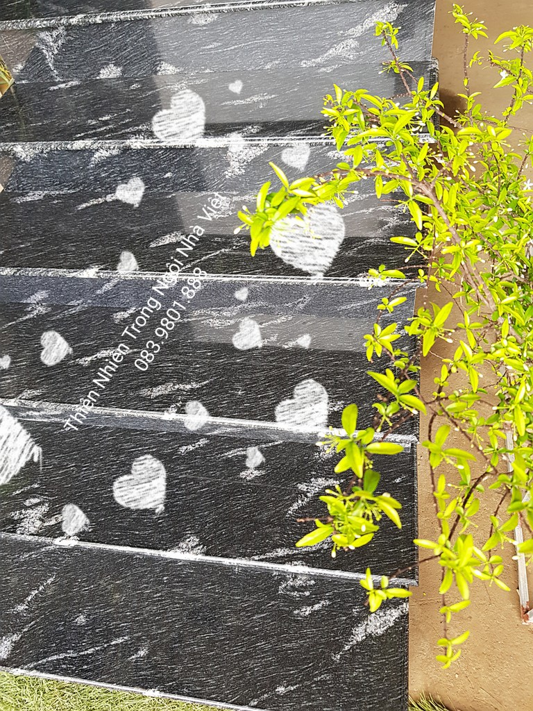 Desert Black Desert Black