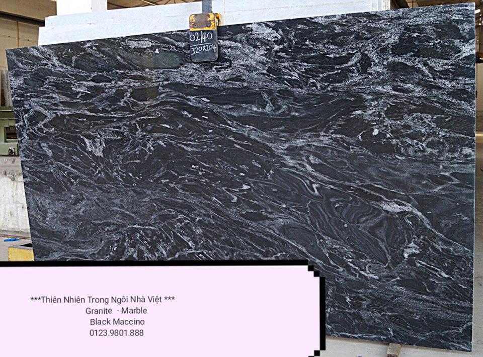 Balck Maccino Balck Maccino