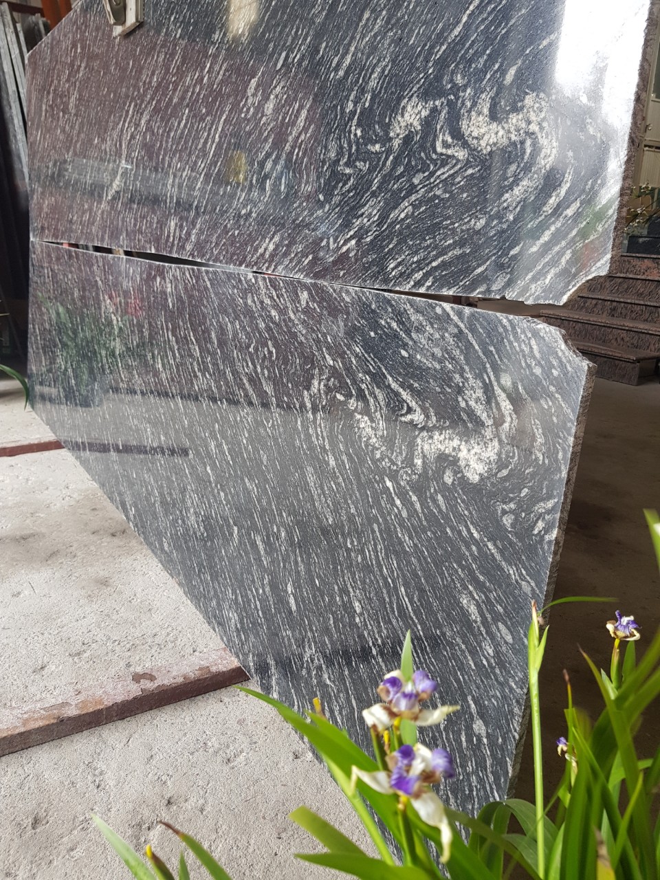 Balck Makino Balck Makino