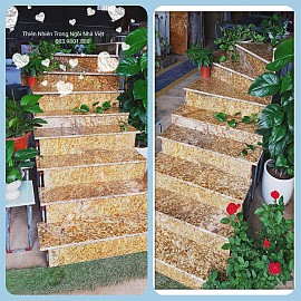 Vàng Hoàng gia Vàng Hoàng gia