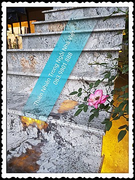 Bicanto White Bicanto White